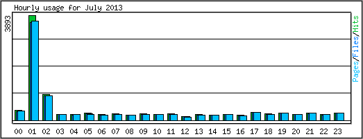 Hourly usage
