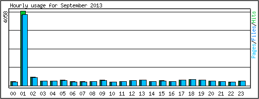 Hourly usage