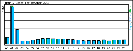 Hourly usage