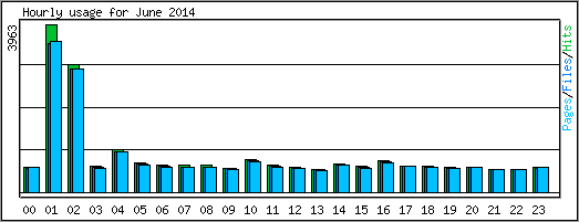 Hourly usage