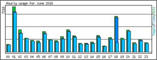 Hourly usage
