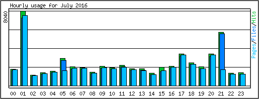 Hourly usage