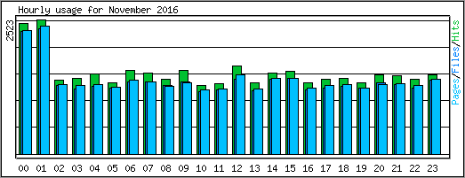 Hourly usage