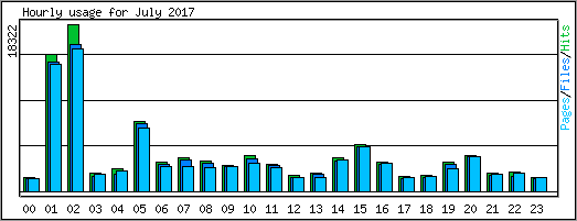 Hourly usage