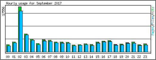 Hourly usage
