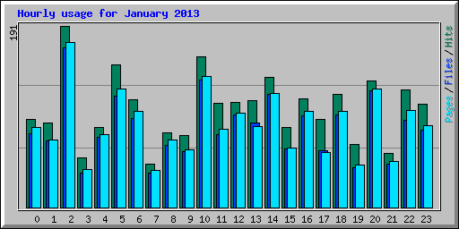 Hourly usage for January 2013