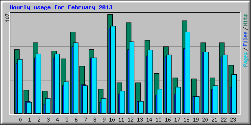 Hourly usage for February 2013