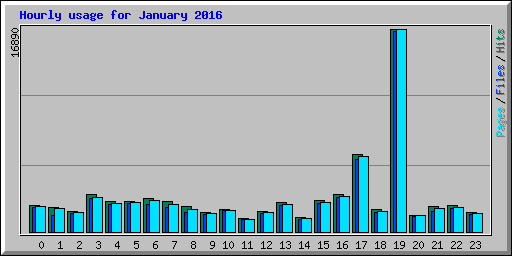 Hourly usage for January 2016