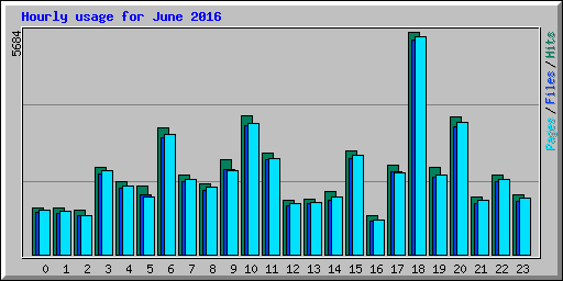 Hourly usage for June 2016