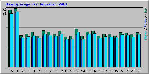 Hourly usage for November 2016