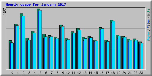 Hourly usage for January 2017