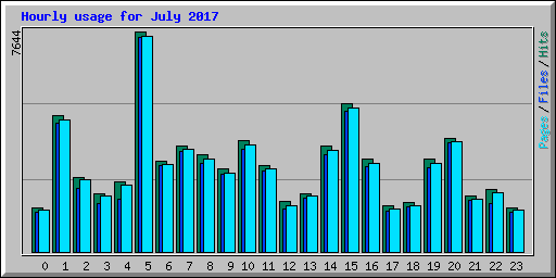 Hourly usage for July 2017