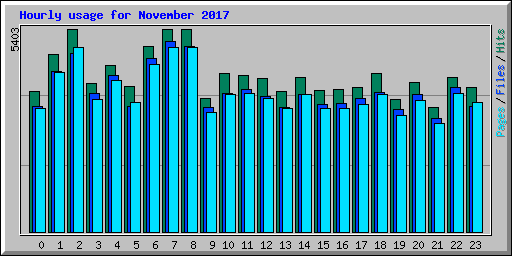 Hourly usage for November 2017
