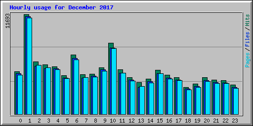 Hourly usage for December 2017